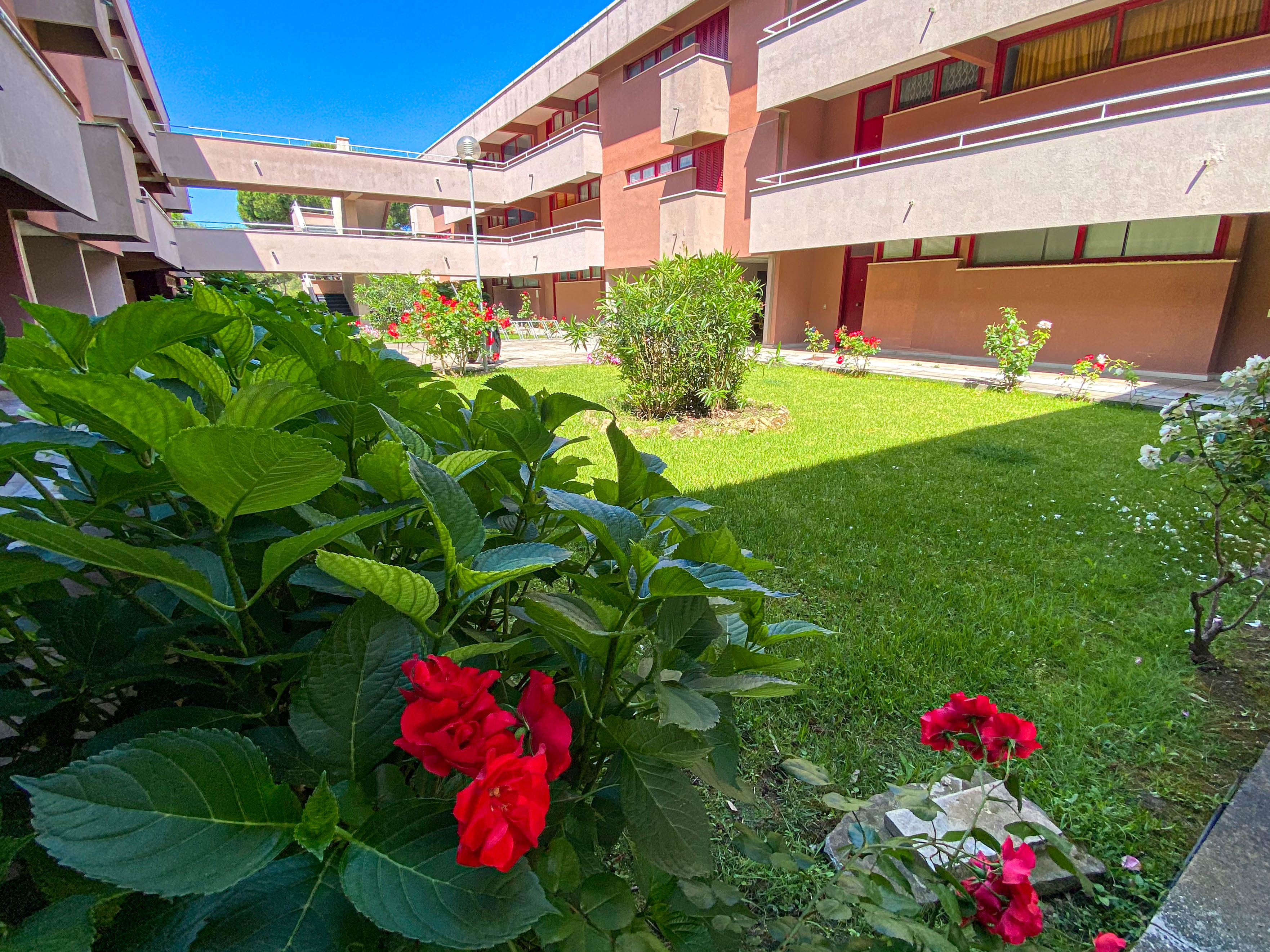 property-2