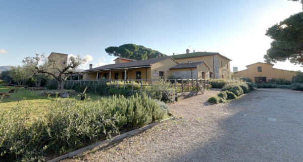 property-2