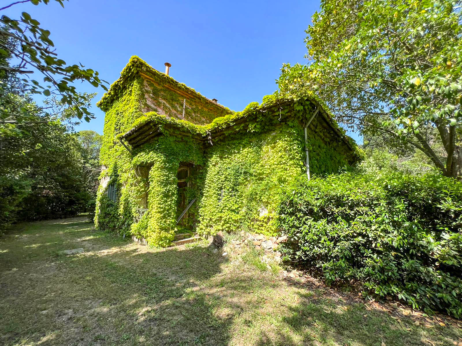 property-2