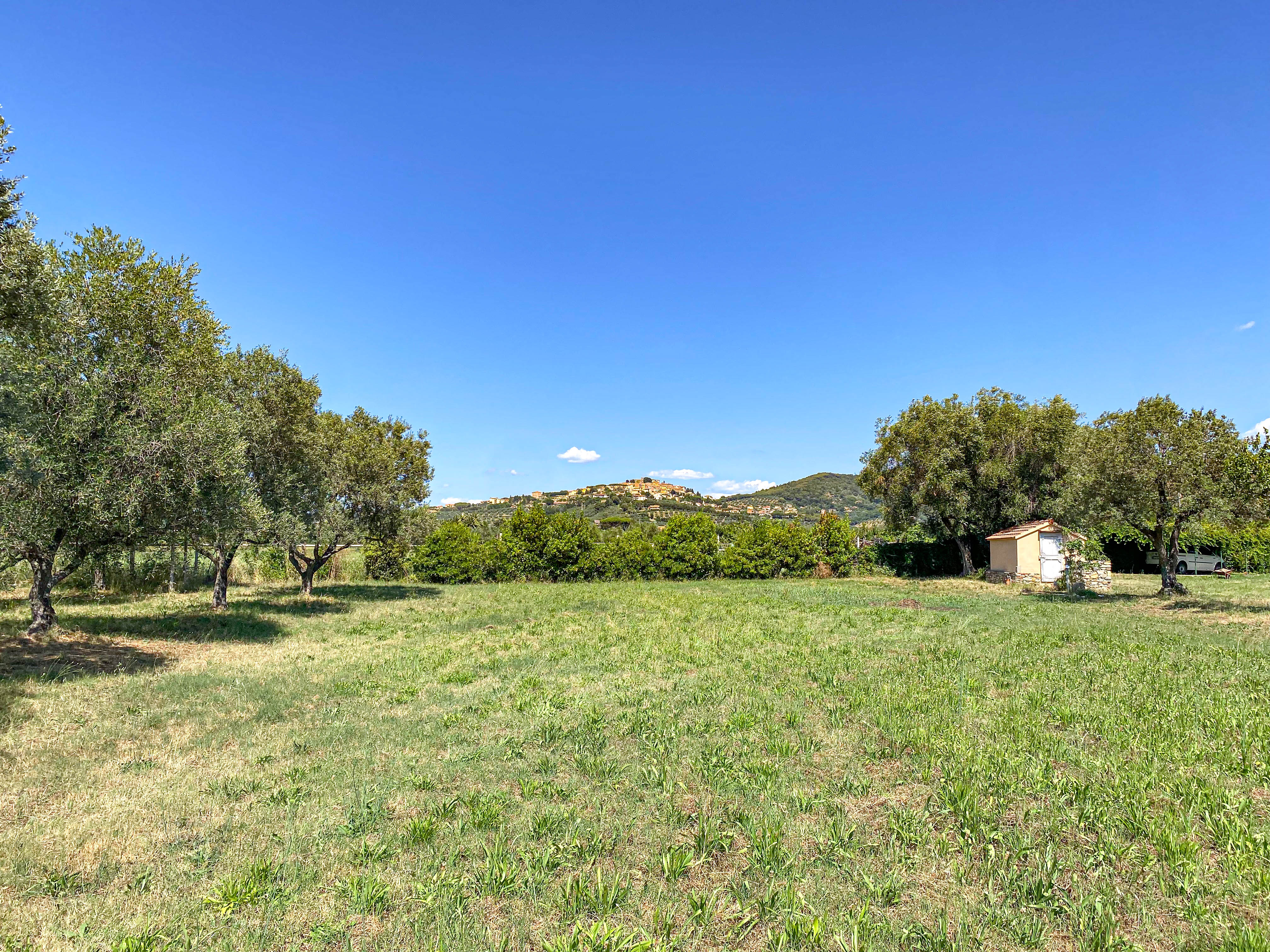 property-2